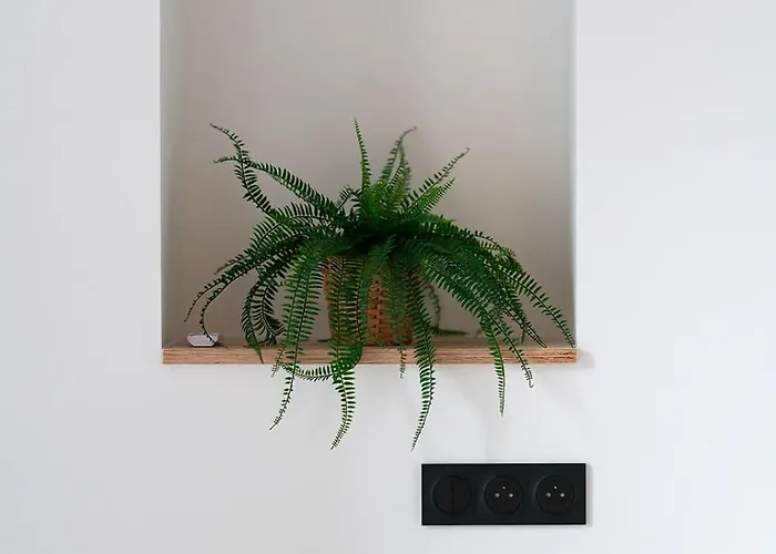 Mariotte - Le Kaki - Independant